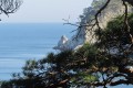Gamova peninsula - The Far Eastern Marine Reserve